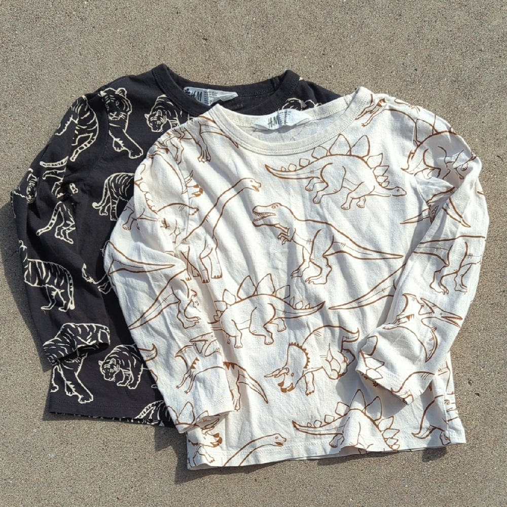 Pair of Longsleeve Print Tees For Little Boy, Dinosaur & Tiger Prints, H&M, 3-4T